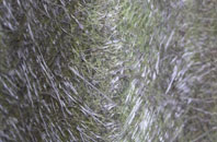 North Sheen fibreglass roof work